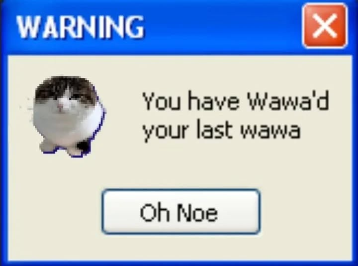 Punch Cat (@punchingcat) on Twitter photo 