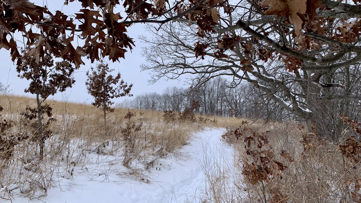 KeithKaters's tweet photo. @JonAhlgrim This afternoon I hiked the Ice Age Trail west of Madison. It was chillingly beautiful. https://t.co/RAV8rolhqr