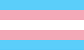 whooith's tweet image. Trans women are women
Trans men are men
Trans kids exist and should be protected
Non Binary identities should be respected

Facts don't care about feelings, you will not erase trans people because trans people have always existed and always will

Trans rights are human rights 🏳️‍⚧️