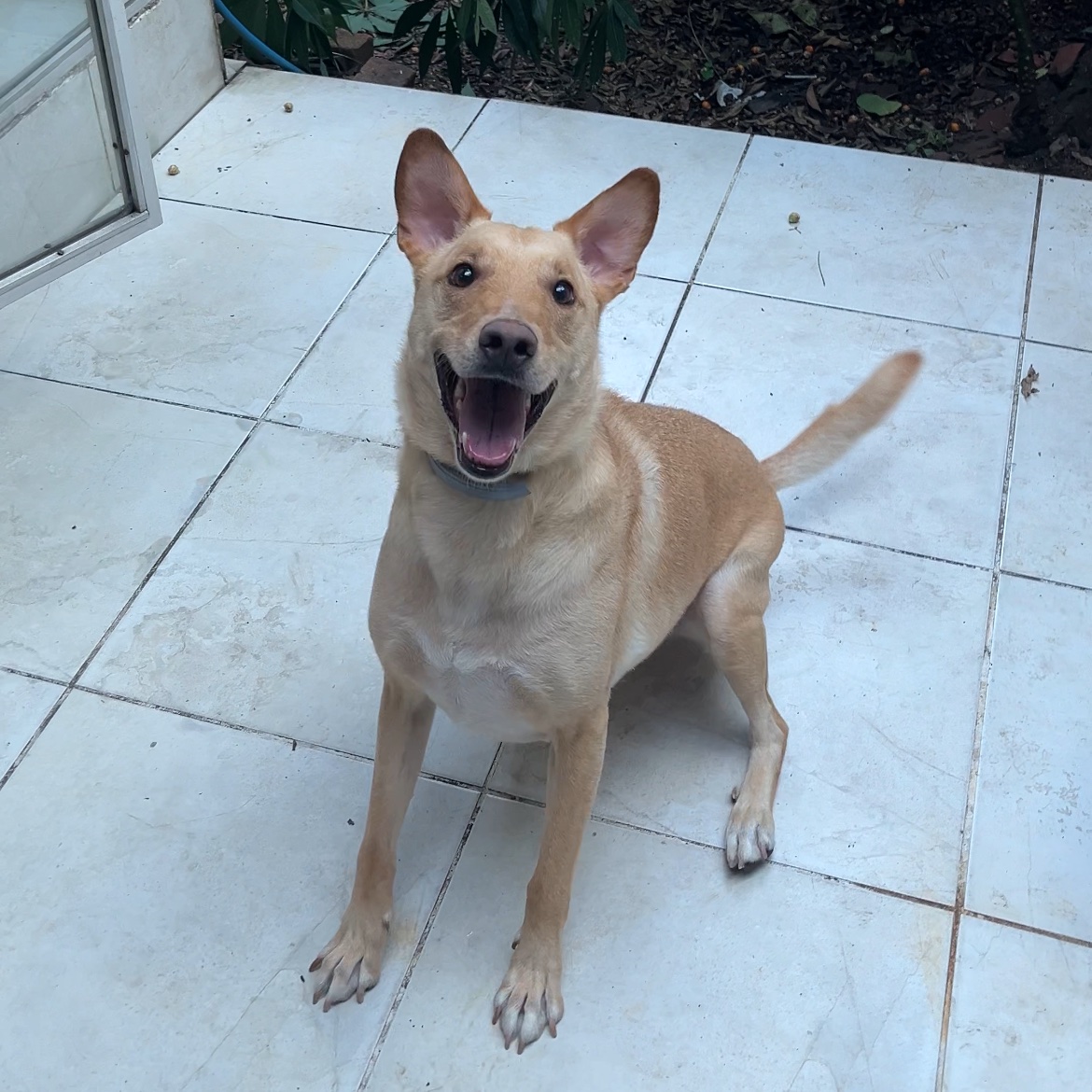 cakkkj's tweet image. ai gente eu não aguento eu pari a criança mais linda desse mundo