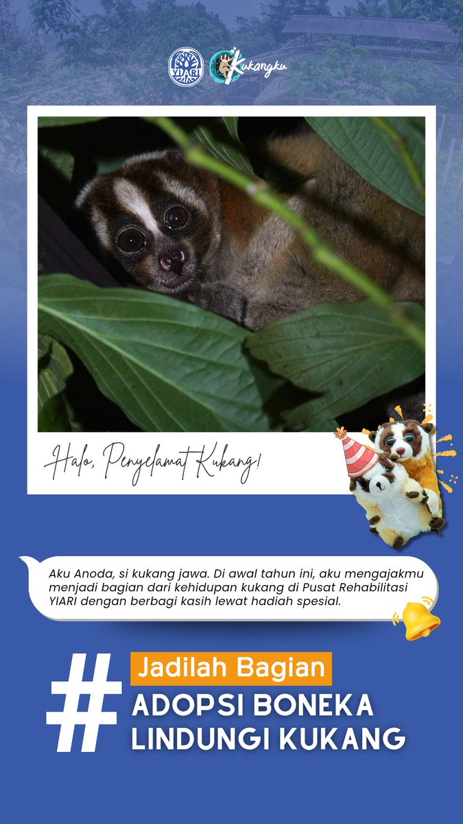 IAR_Indonesia's tweet image. Mari tunjukkan kasih sayangmu dengan cara yang bermakna 💚

Dengan Adopsi Boneka Kukang, kamu ikut menjadi bagian dalam upaya menyelamatkan dan memulihkan kehidupan kukang di pusat rehabilitasi.