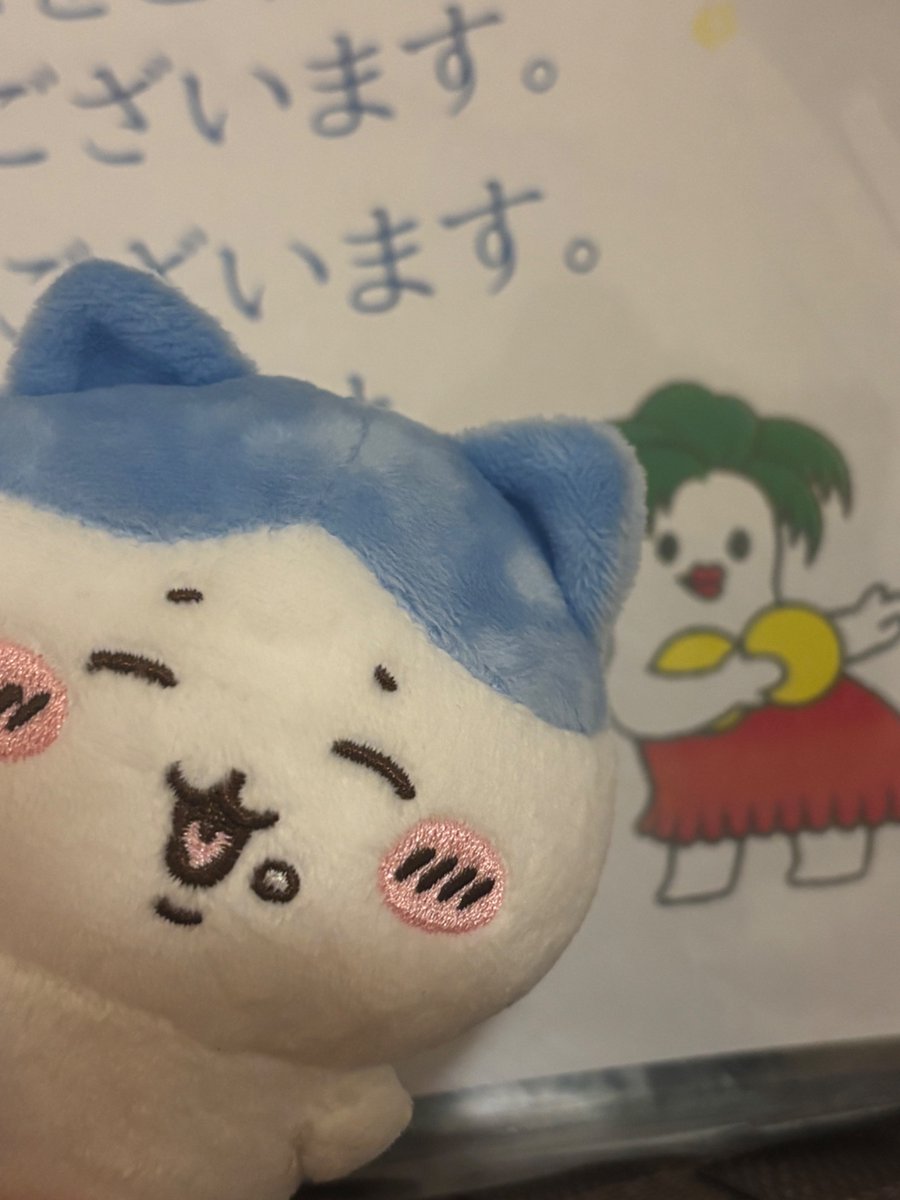 ExSub2's tweet image. ハワ.イアン.ズ楽しかったー
一生分スライダー乗った