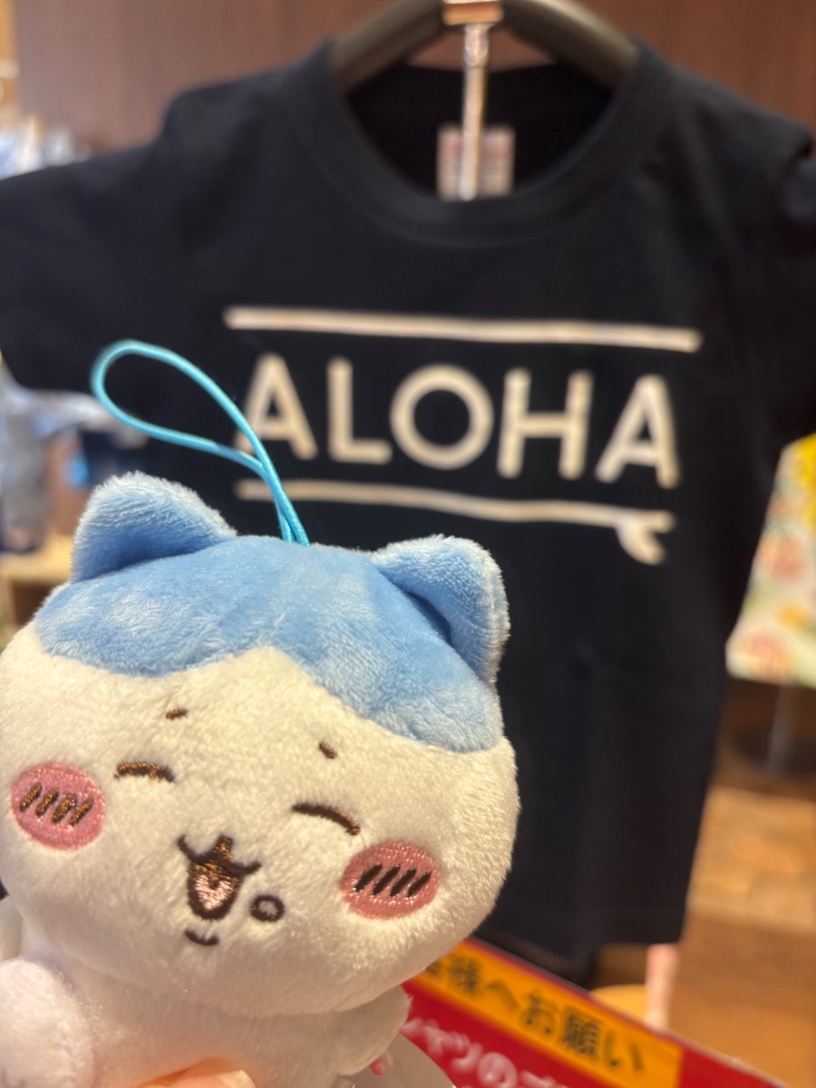 ExSub2's tweet image. ハワ.イアン.ズ楽しかったー
一生分スライダー乗った