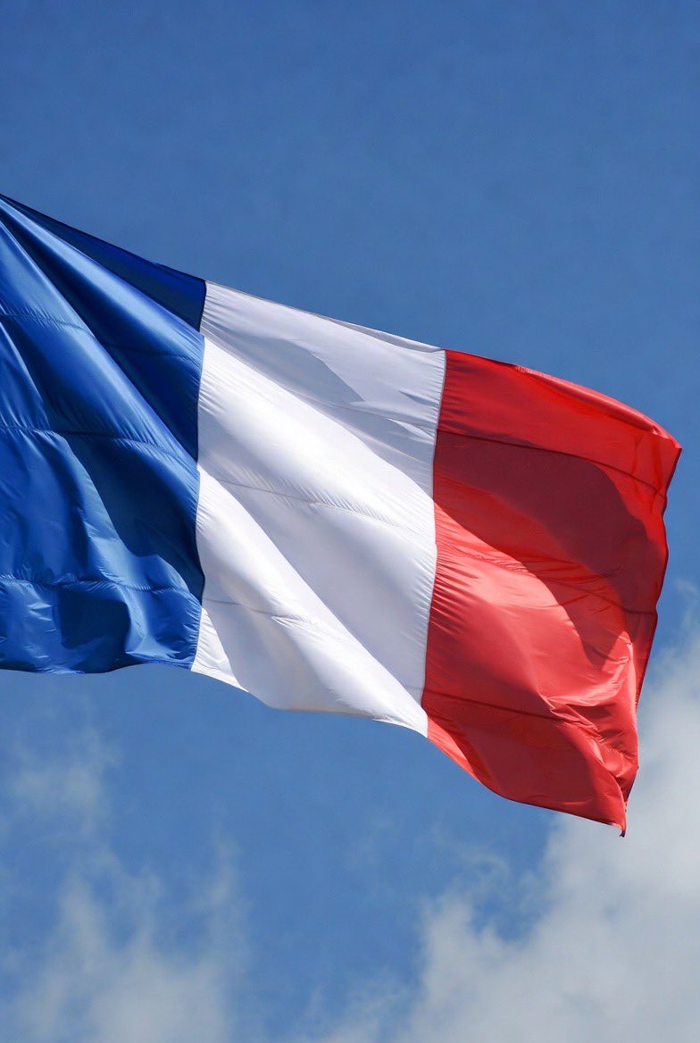 PoliticalBTC's tweet image. JUST IN: FRANCE SURRENDERS🇫🇷 🇺🇸