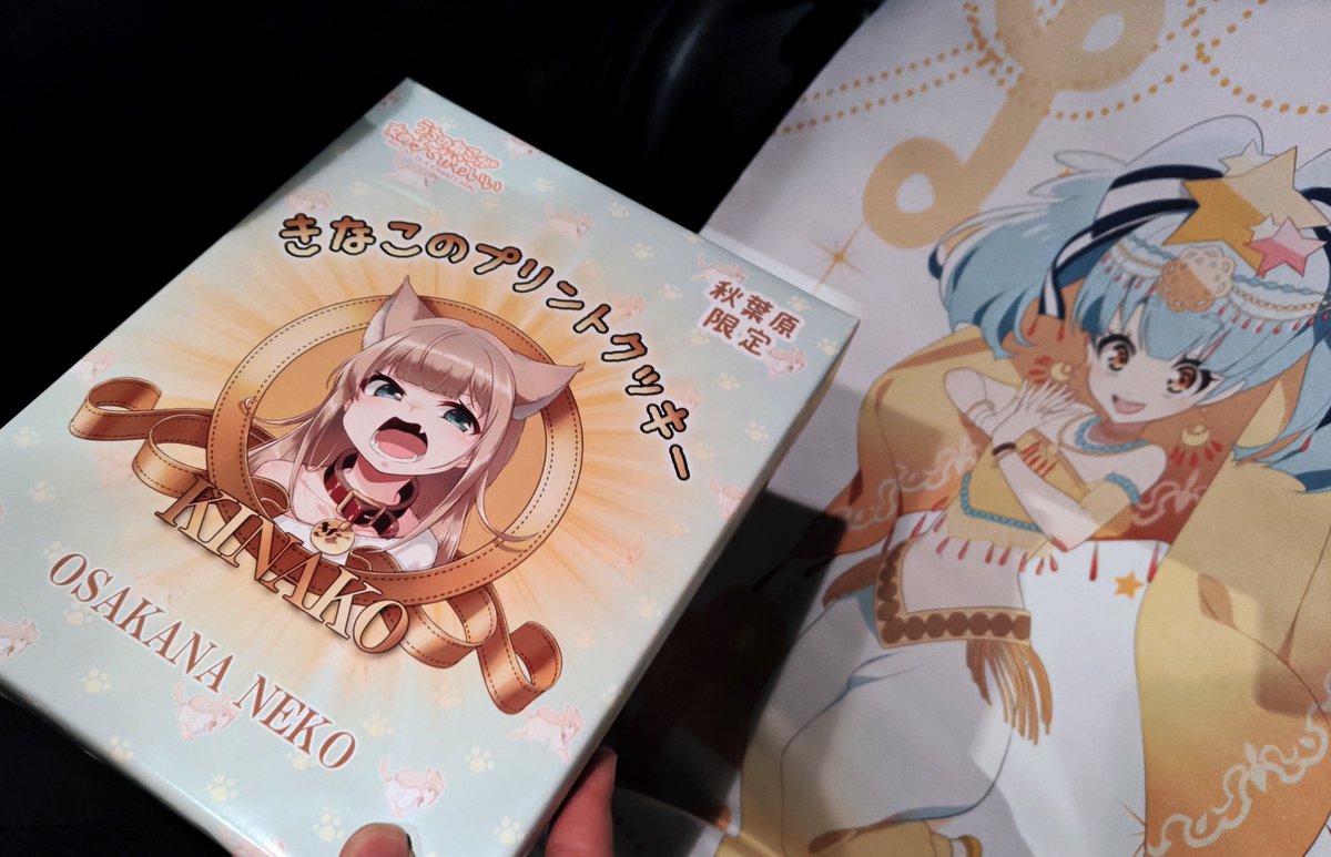 finuko_gurashi's tweet image. 昨日は朝から一日中話しまくった挙句、最後は夜中の3時に健全ロボ ダイミダラーを見て解散しました
深夜じゃない時間帯から凄い深夜テンションだった