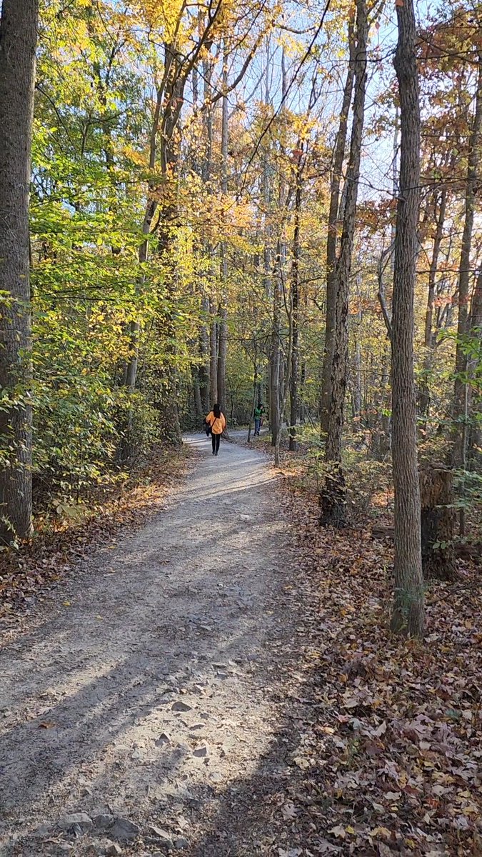 Mohan_P_Joshi's tweet image. And on, and on I walk—
alone,
this unending path…

yet smiling,
your presence
walking within me.

#poetry #meditation #mystic