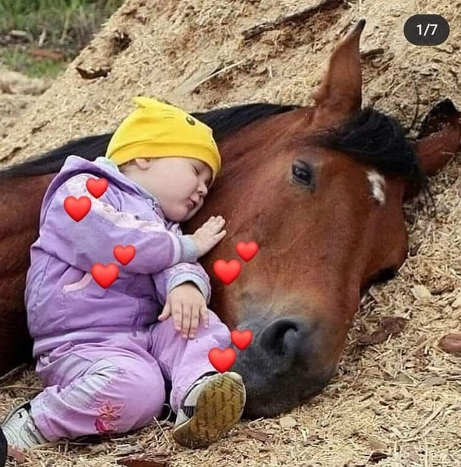 Өглөөний мэнд хүргэе♡

“Хүний амьдралын хамгийн чухал хоёр өдөр бол  энэ хорвоод мэндэлсэн өдөр болон яагаад төрснөө ойлгох өдөр хоёр юм..”

Өдөр бүр 21:00_22:00 Дэлхий нийтийн алтан бясалгал залбиралын цаг дор нэгдээрэй♡