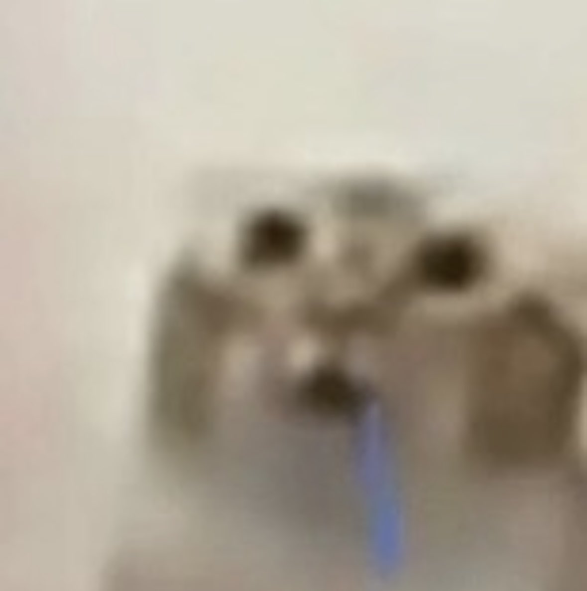 🔞 isopod ass 🔞 tweet media