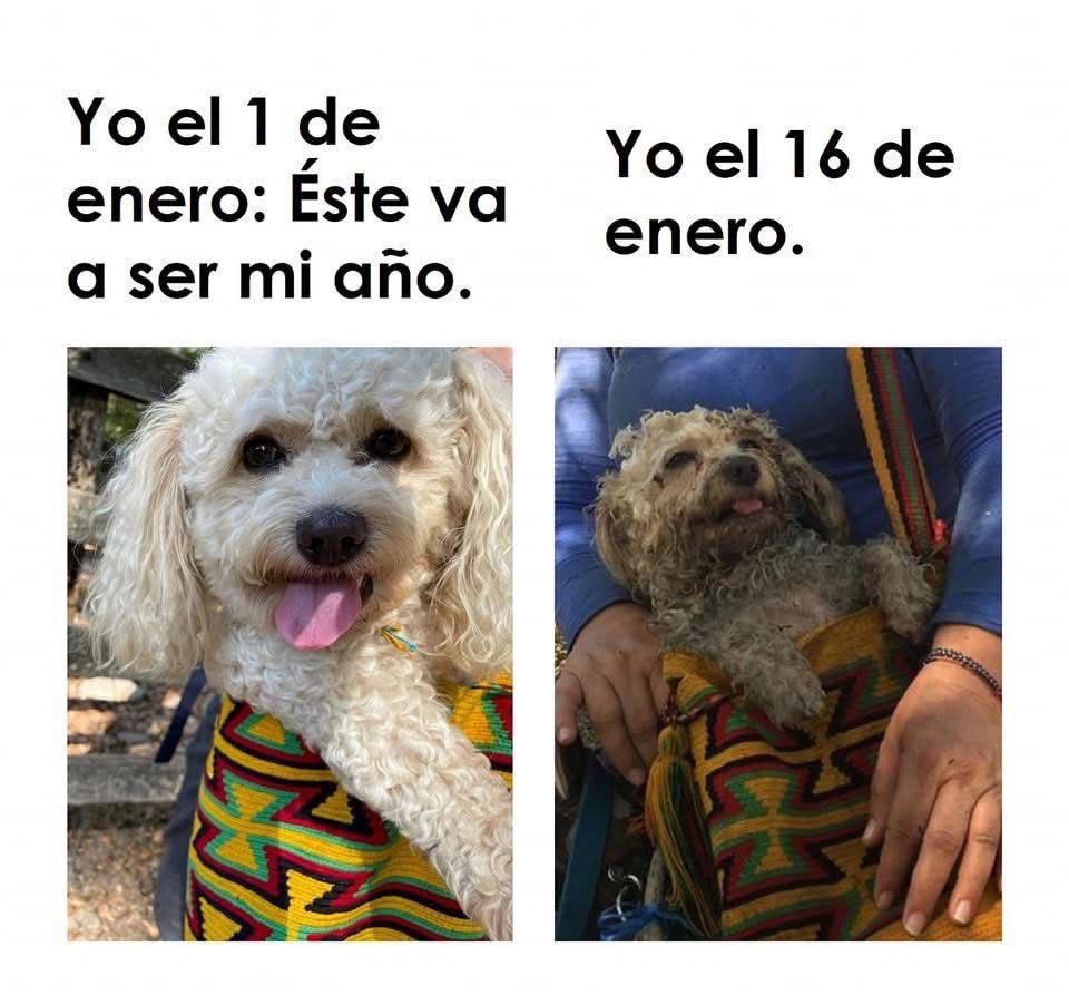 julietaetznab's tweet image. Yo este: