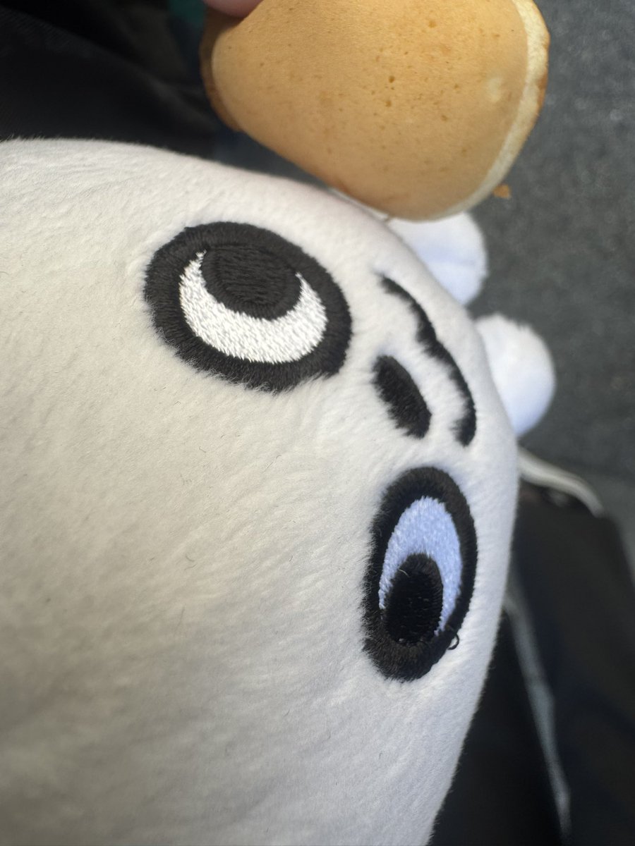 今日と明日は近所のお寺で厄除けのお祭り！
今日は日曜日なのとあったかいのとで凄い人…
厄除けのご祈祷もいつも以上に並んでた気がする。
そんな列を横目に、屋台爆食い🤤
すだちちゃんもいたー🍊
お腹いっぱいー🈵
#ぬい活
#厄除大祭