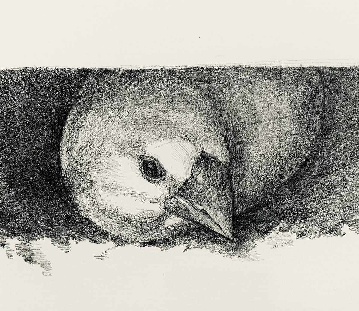 つちのこ感…🥰