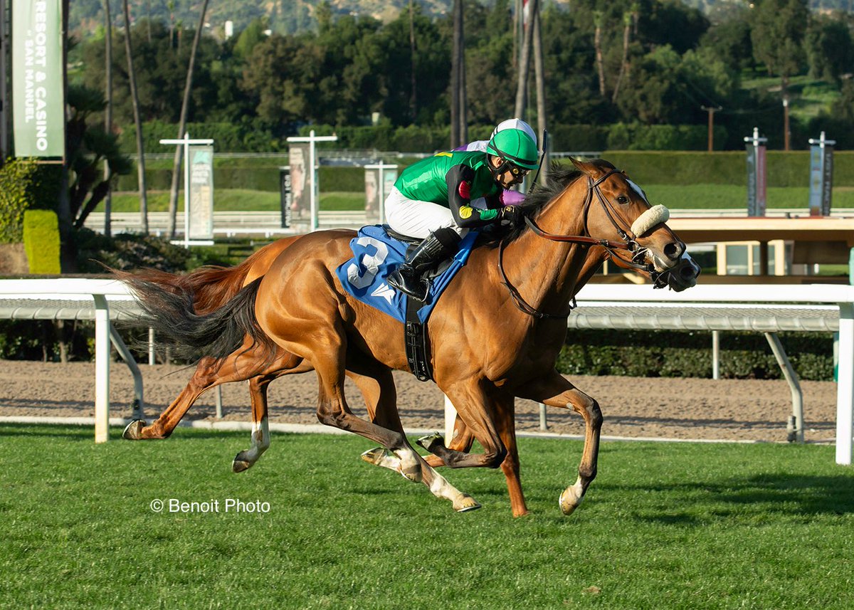 Benoit Photo tweet media