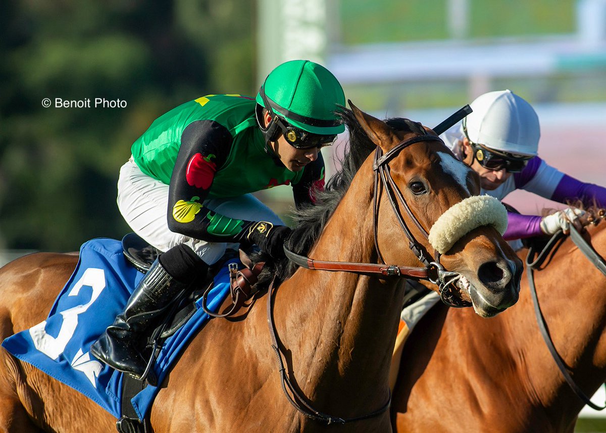 Benoit Photo tweet media