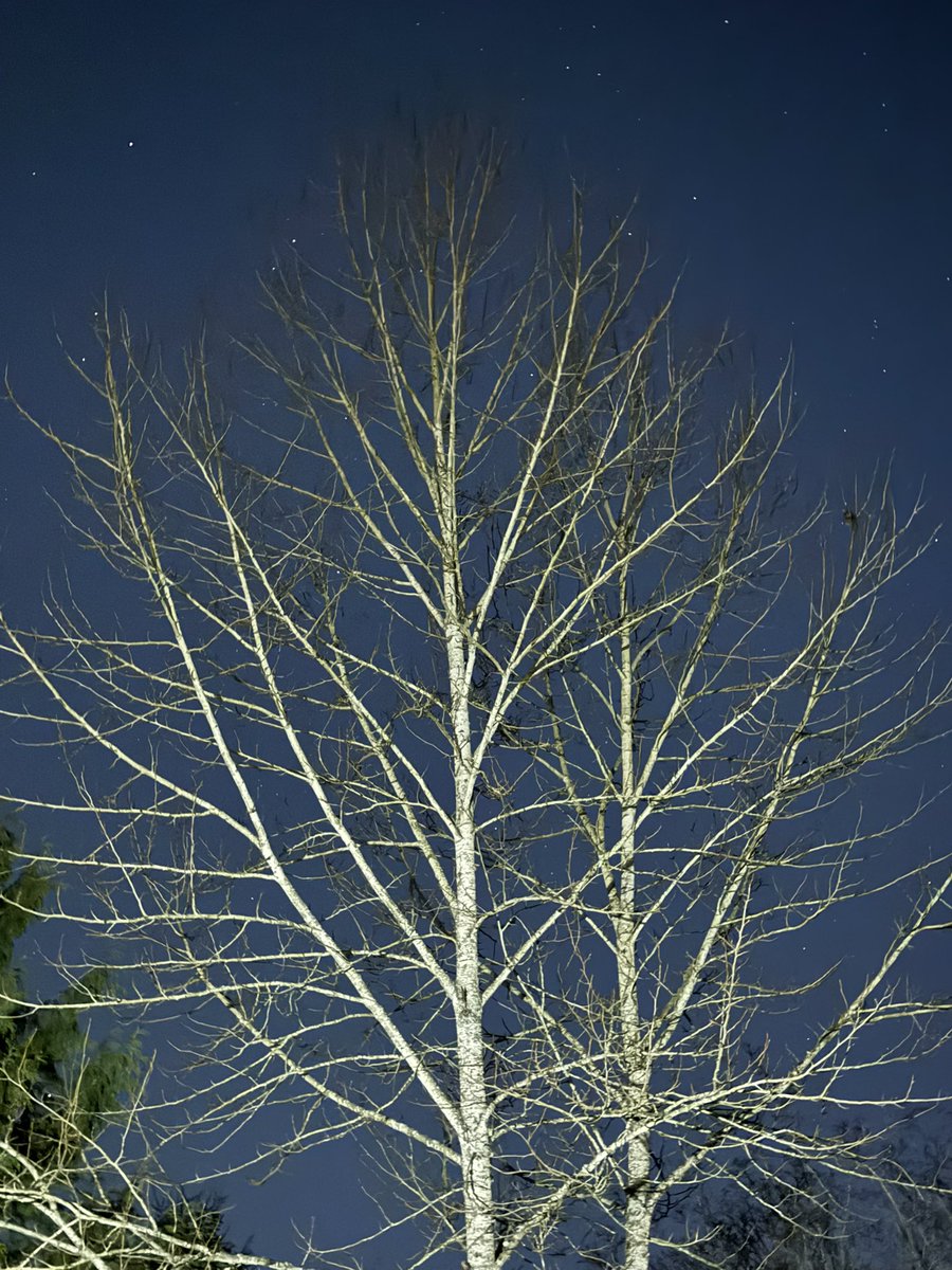 exciseise98's tweet image. 