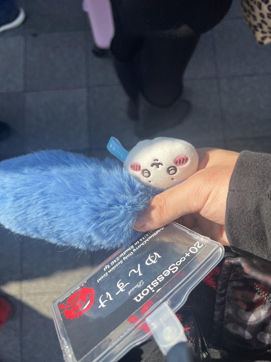 ほんじつこんな感じです！ 名札とハチワレで探してください🤣笑