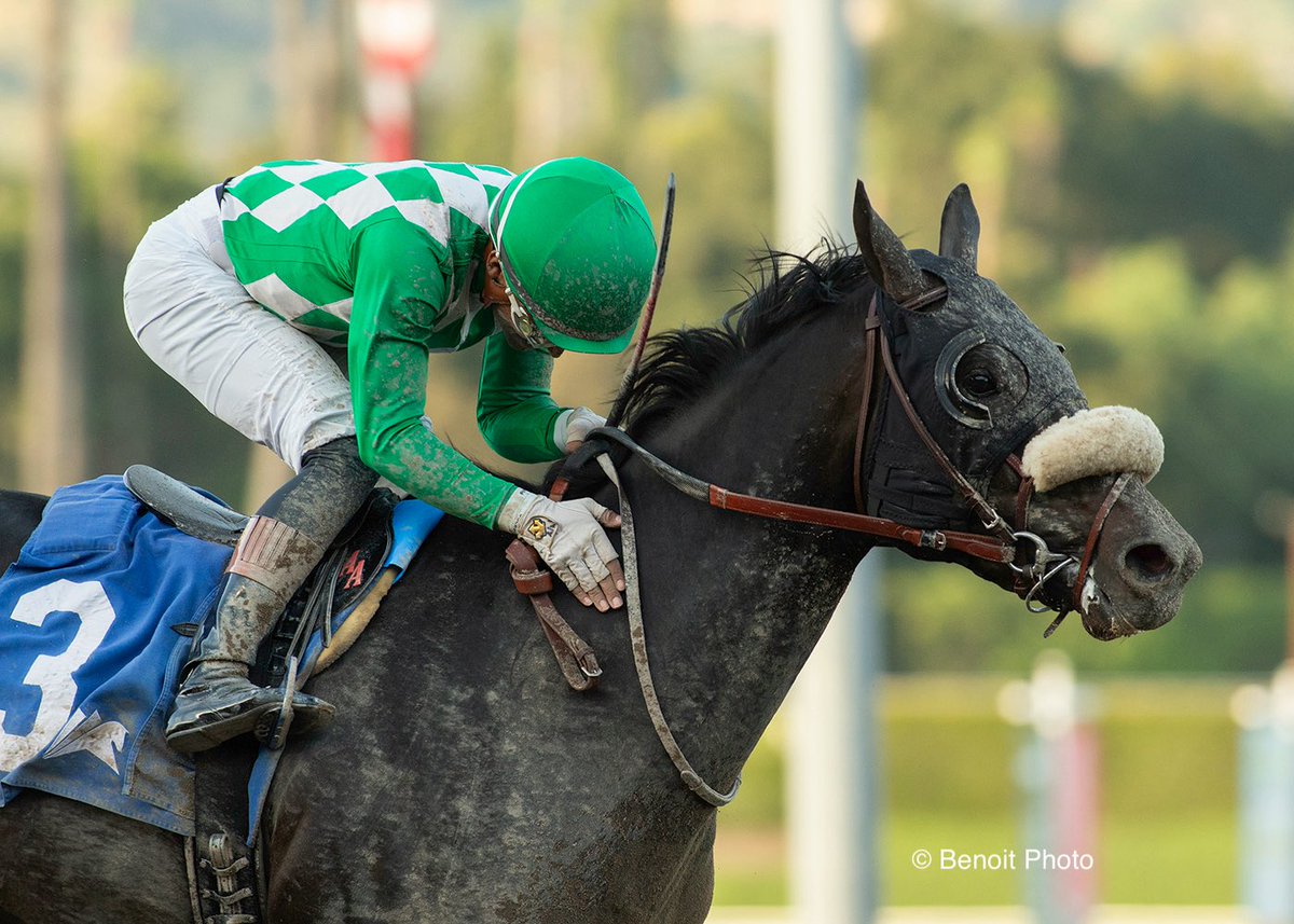 Benoit Photo tweet media