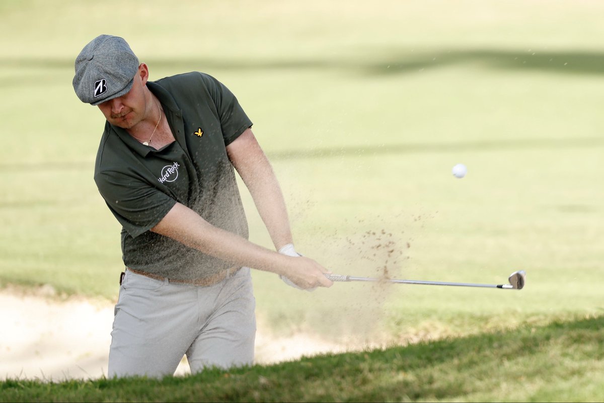 Harry Hall tweet media