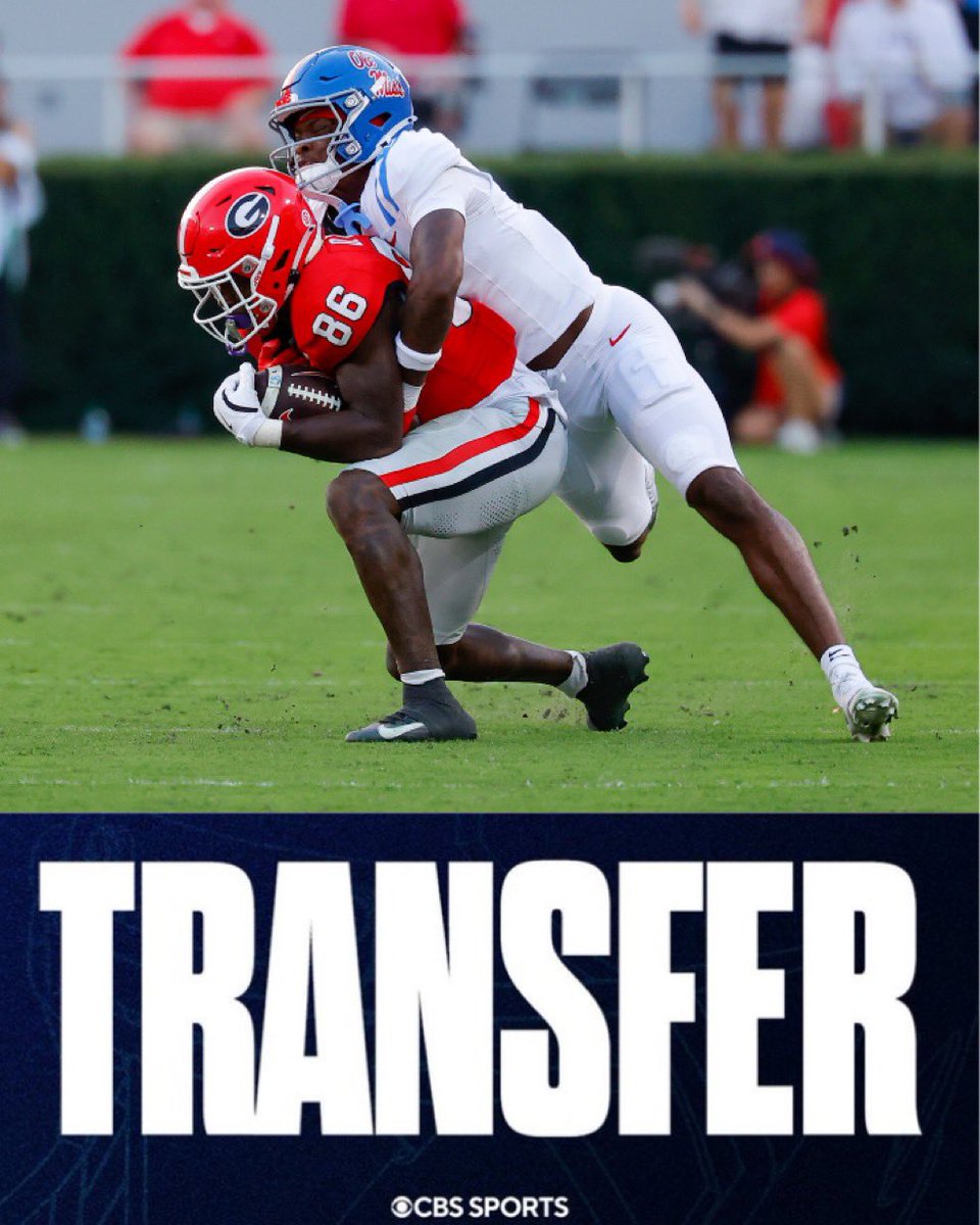 Matt Zenitz tweet media