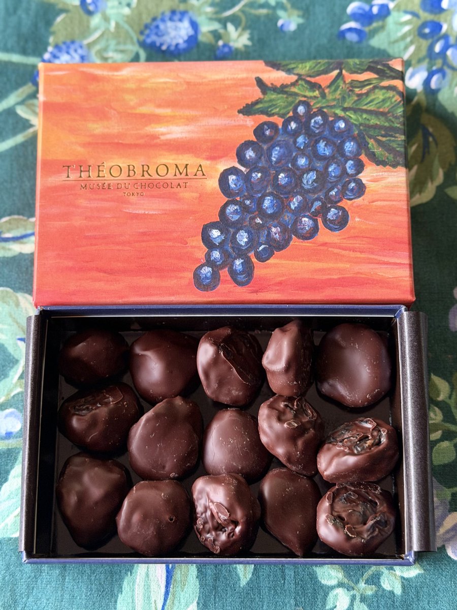 カカオストア サロショ Part1 ナガノパープル🍇 コク深いビターチョコ