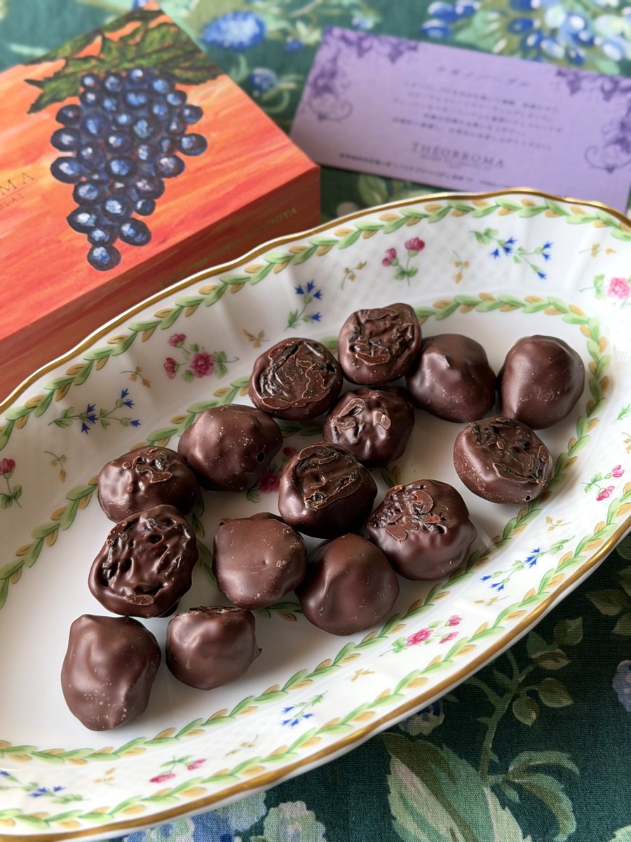 カカオストア サロショ Part1 ナガノパープル🍇 コク深いビターチョコ