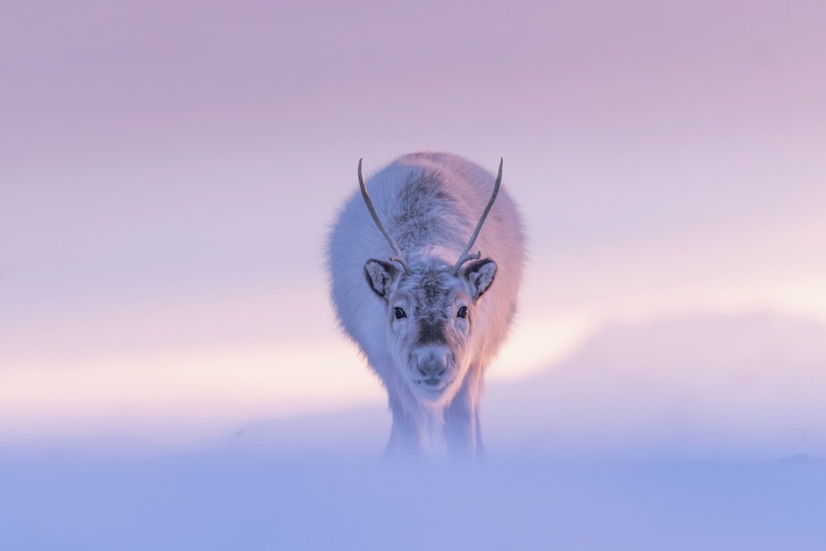 Devendra Deshmukh tweet media