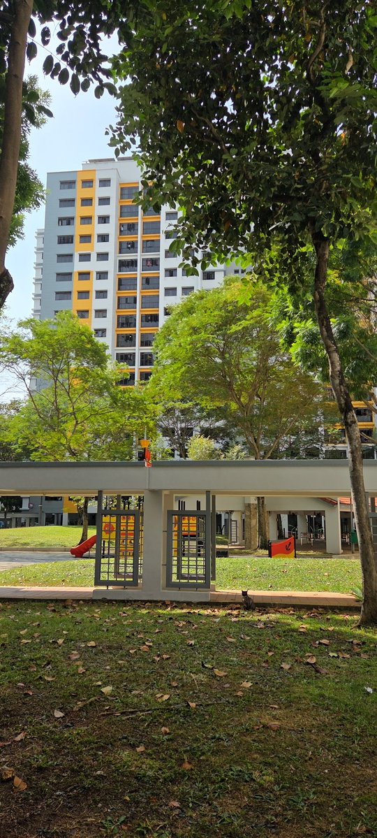 77greg's tweet image. What a Green day