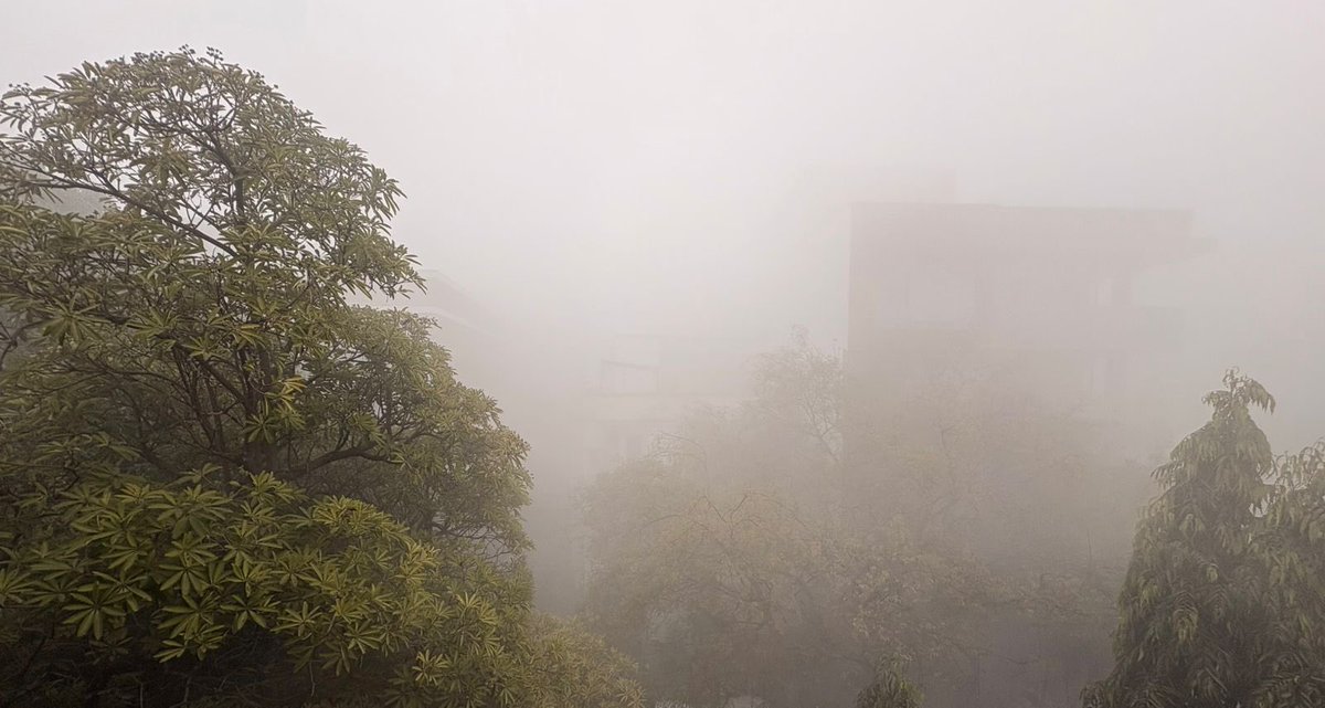 DeoSikta's tweet photo. #0visibility from the terrace
#Delhi #delhiwinter #DelhiWeather https://t.co/qHl4AmJAk8