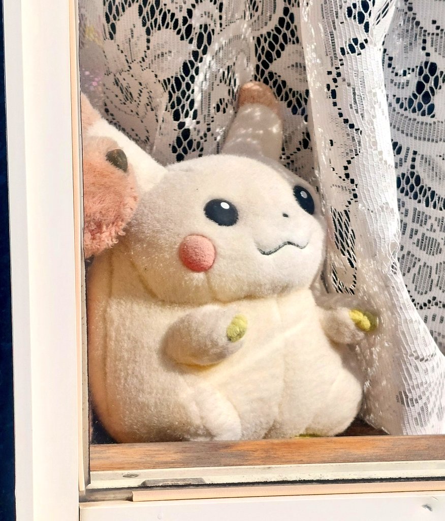 オレ、サトシ！こっちは母に西側に黄色いものあると金運あがるからと30年置かれつづけられた色ちがいピカチュウ！