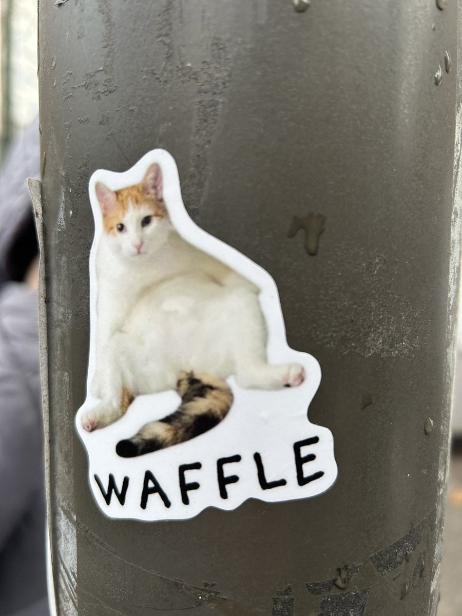 _MUTECAT's tweet image. today was a day