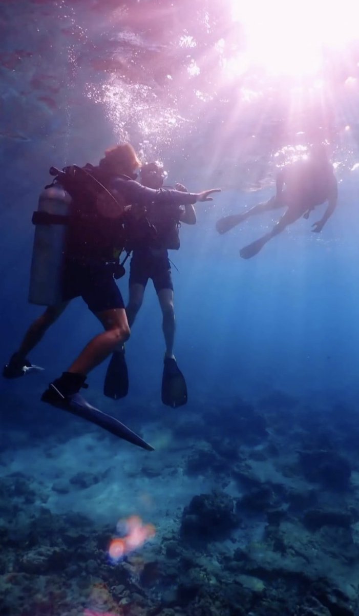 diveSSI's tweet image. That first ever descent during your Open Water Dive number 1 - Do you remember it? What were your thoughts?

🙏📍@phiphicabanadiving
📸 @oceancella

#wearessi #learntodive #openwaterdiver #SSIDiving