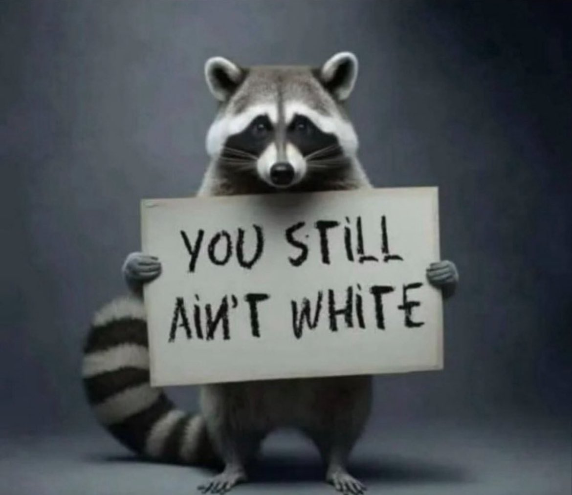 Aboriginalameri's tweet photo. @ReiiValentinaa You still ain't ⚪️, 🦝🖕🏿🫵🏿#Negropean #Mammie #SoldtheFuckOut https://t.co/6hAYDIIUxh