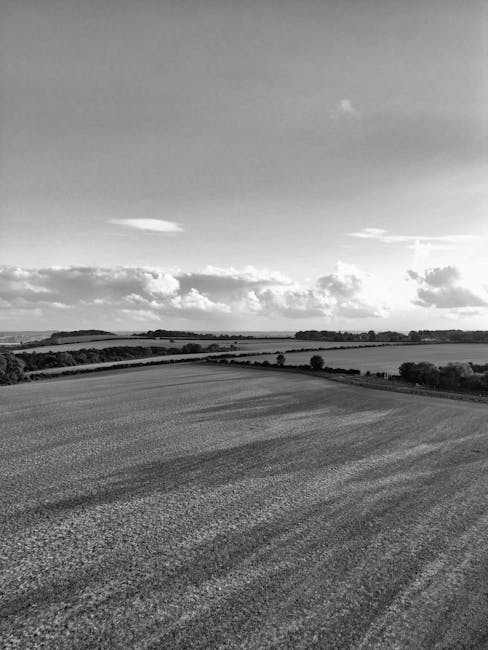 Michelle Williams tweet media