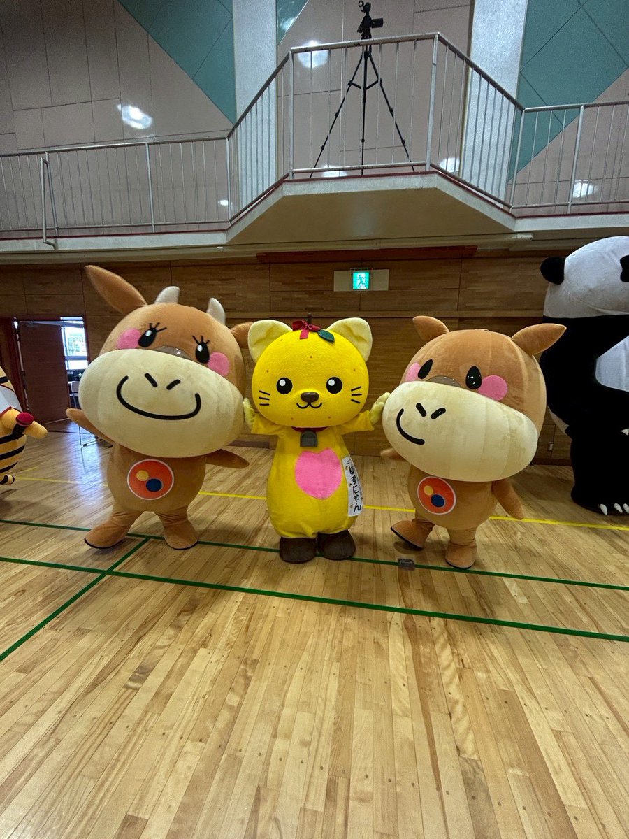 🕰️ゆずにち 時を止めるにゃ #富士川町 #ゆずにゃん @matsuya_foods