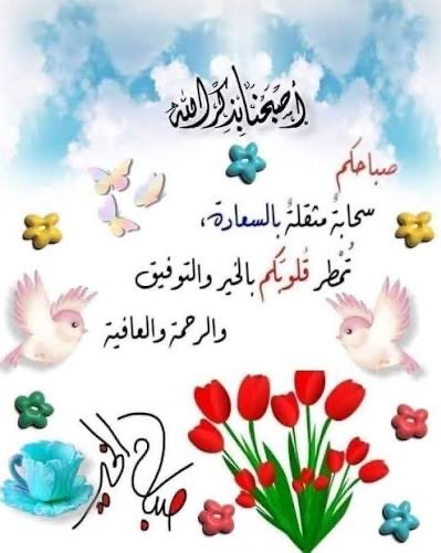 محمد عبدالله احمد الفالح ابو عبدالله (@mohammadalf2017) on Twitter photo 