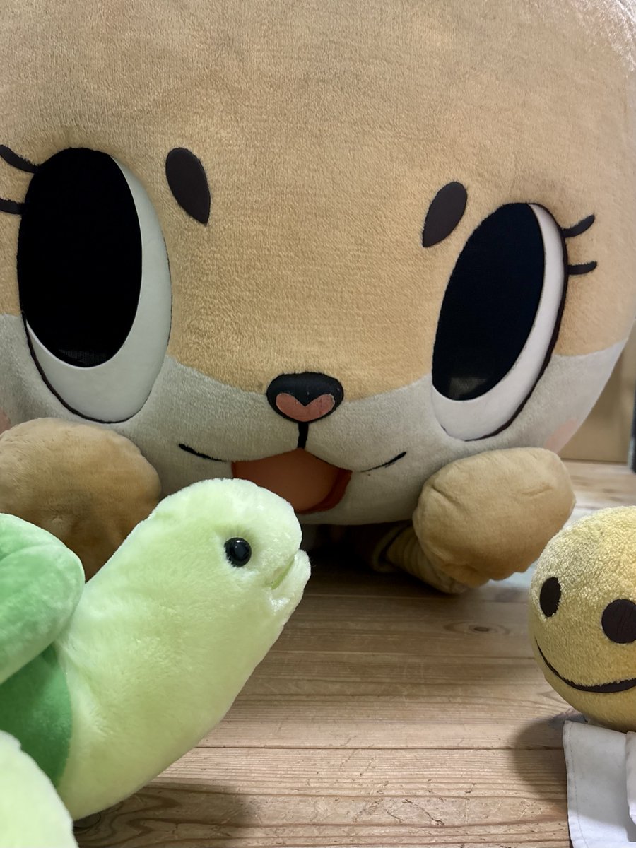 公式：ちぃたん☆大阪 (@Chiitan_Osaka) / Highlights / X