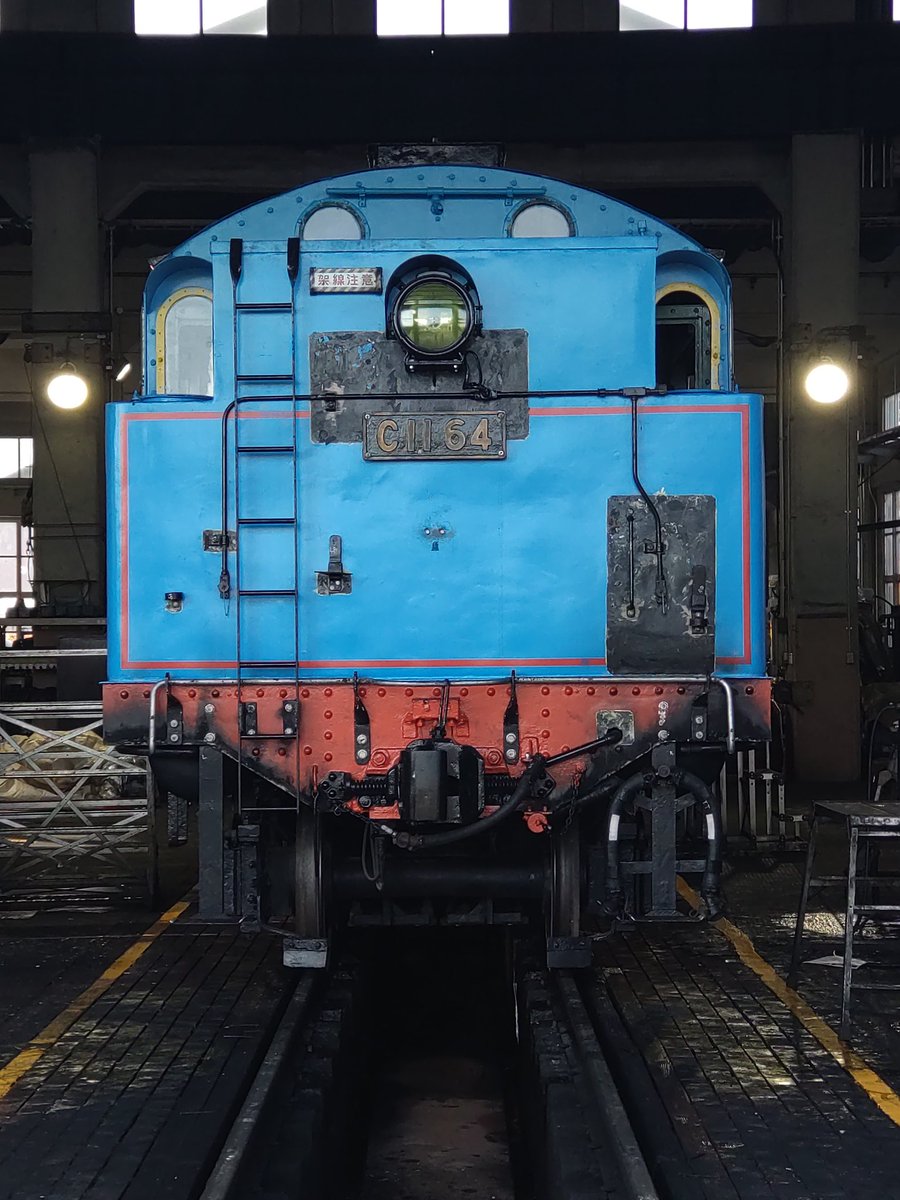 c0FpaILJPG7ipyC's tweet image. 15日の午前中は1枚目の感じだったのに、もうここまで元に戻ってきた。凄いペース。