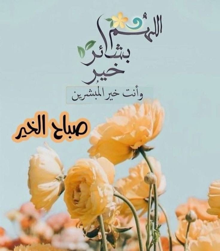 اللهم بشائر،خير وانت خير المبشرين