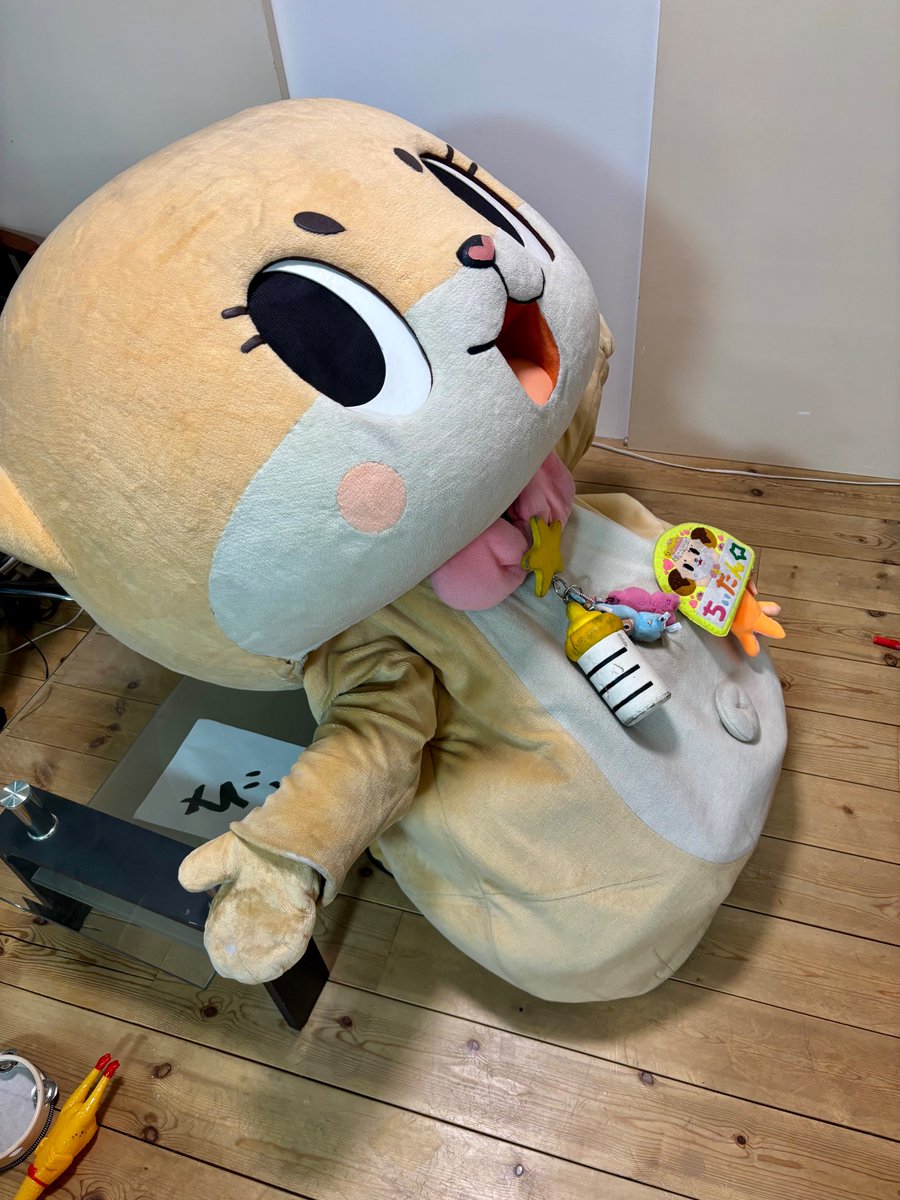 公式：ちぃたん☆大阪 (@Chiitan_Osaka) / Posts / X