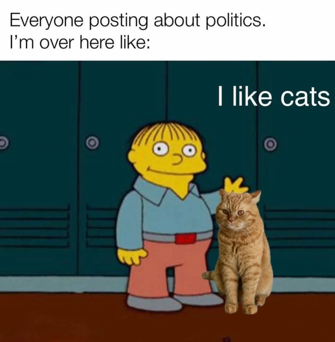 snotzthecat's tweet image. 