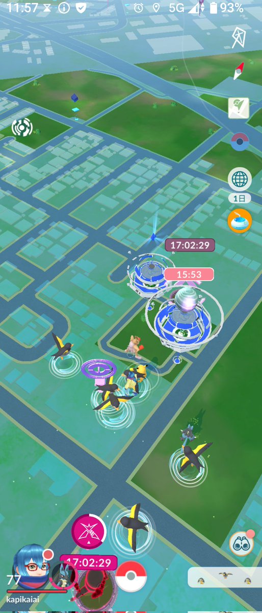 aikapi315's tweet image. カイデンの巣🐤？
XXLもいた🐥✨🎵