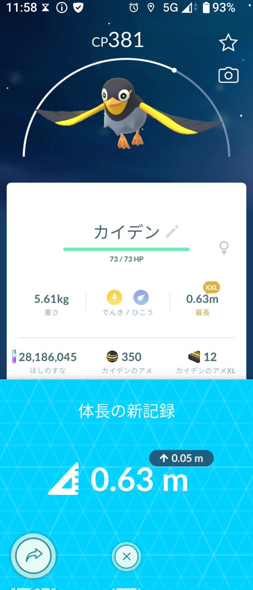 aikapi315's tweet image. カイデンの巣🐤？
XXLもいた🐥✨🎵