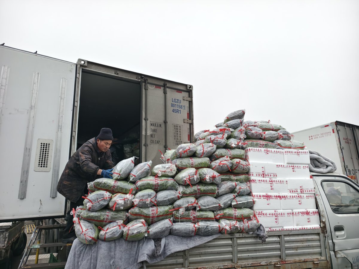 DailyBeijing's tweet image. 首都“菜篮子”雪天保供，新发地蔬菜上市量达2.2万吨
Beijing ensures fresh vegetable supply amid 2026’s first #snow! #Beijing's Xinfadi Market coordinated with vendors to boost #vegetable deliveries, reaching 22,000 tons in a single day, which ensured continuous supply, no shortages,
