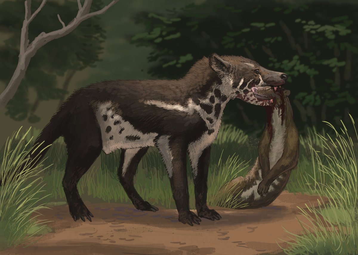 JoschuaKnuppe's tweet image. Results from the #paleostream! 
Only wishes tonight! 3 by others one for me :3 
Mesonyx and Tritemnodon (for Vex), Mountain Anoa (for Desert leaper), spec evo animals for Din0boy1 and Manipulonyx, going after bees nesting in an egg but not the egg ;)