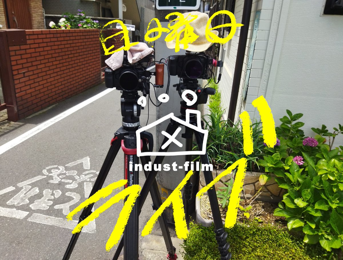 【お知らせ】
本日（１／１８）日曜ライブ配信を行います！

20:00~22:00
youtube.com/@indust-film/s…

来週は撮影がある為、急遽の実施となりました！
「portrait(s)」の撮影が全て終わるまでは不定期な開催となり申し訳ありません！
感想やコメントお待ちしております

#連続ドラマportraits
#セクマイ