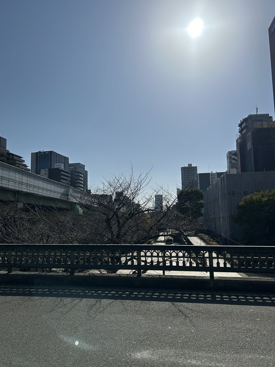 atelierLIB's tweet image. １月18日の北浜。
抜けるような青空、暖かいを越して暑いです🥵
本日は彫金教室開講しています。
お散歩がてら見学もOK🙆‍♀️
水辺のシックな豊島ビルにて開講しています。

・北浜駅すぐ
・豊島ビル　301号室
　アトリエ箱庭
・13-18時