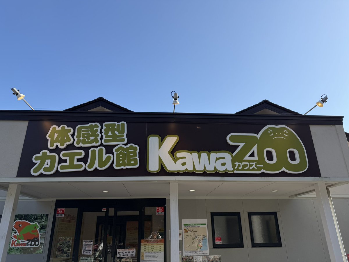 来ました🐸