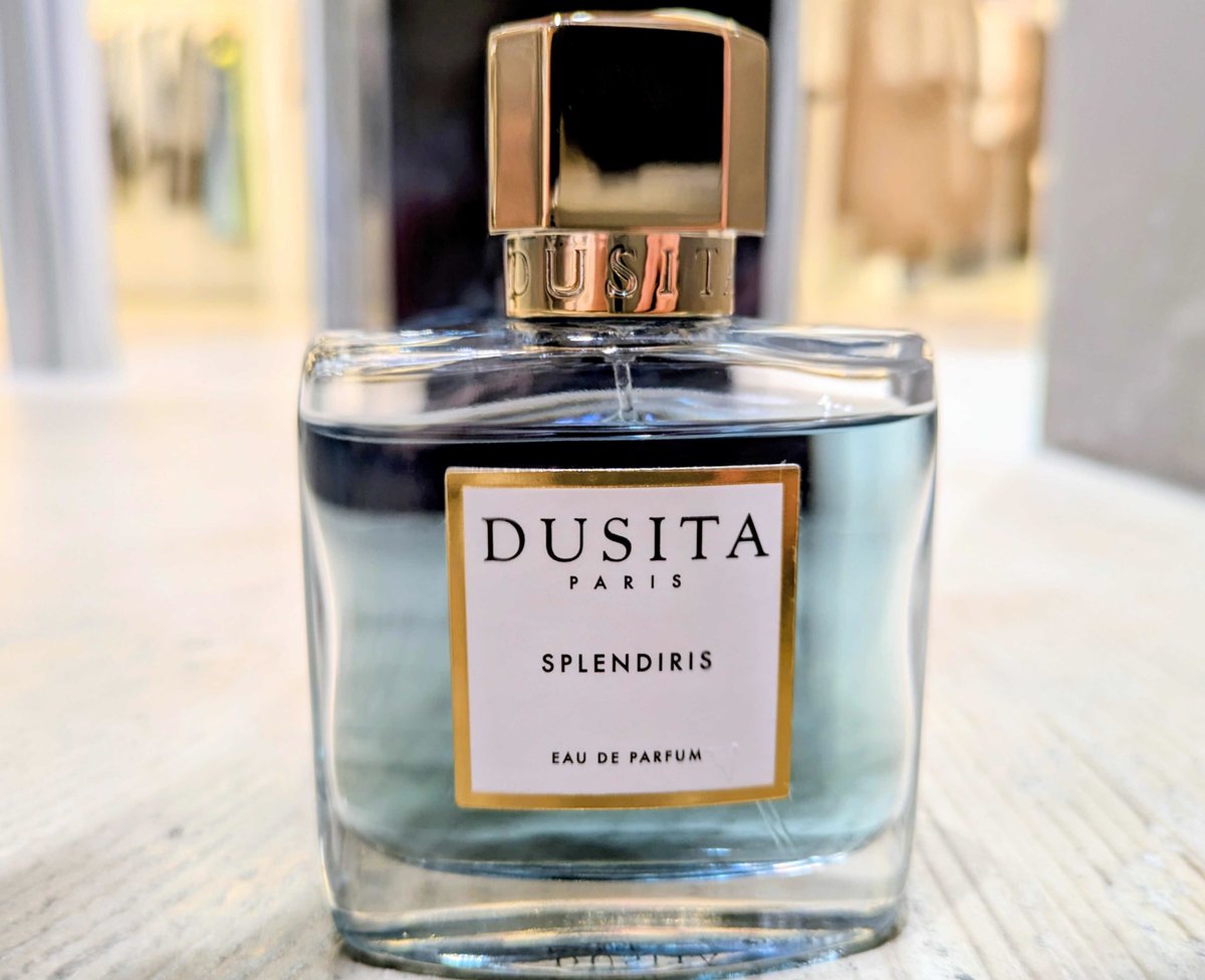 Dusitat｜スプレンディリス 夢に包まれた帳の中 温かいようで、澄んで 