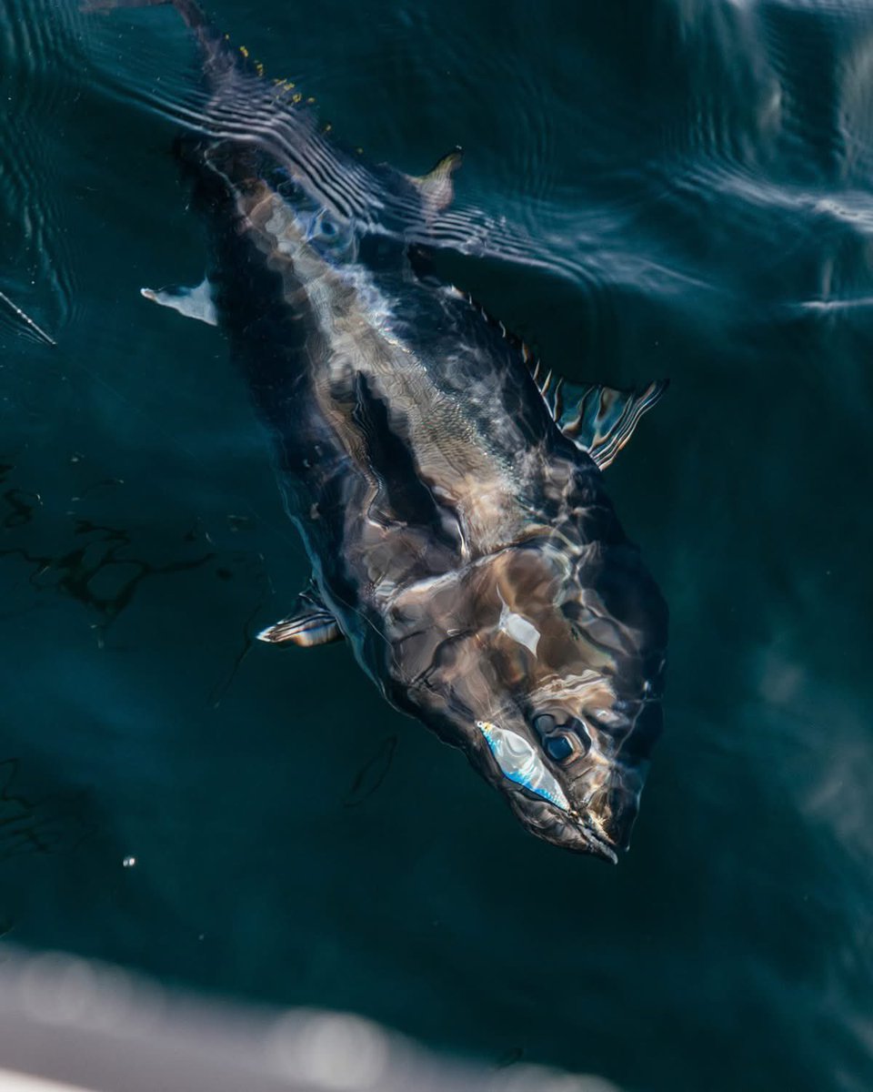 อยากไปตกปลาละ