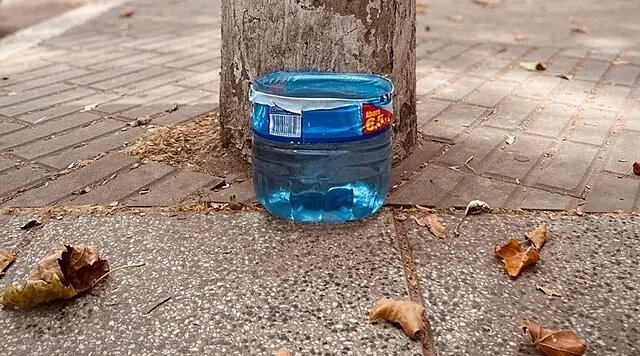 ❌️COLOQUEN POTES CON AGUA X FAVOR...
YA SEA FUERA DE SUS CASAS, BAJO UN ARBOL, LOS ANIMALES QUE VIVEN EN LA CALLE TB NECESITAN HIDRATARSE!!
VAYAN CAMBIANDO EL AGUA C/3 HRS O COLOQUEN HIELO...