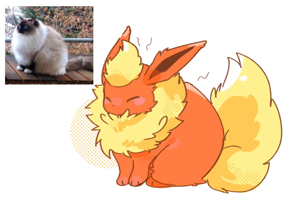 세타 セタ (@seta629211) on Twitter photo 